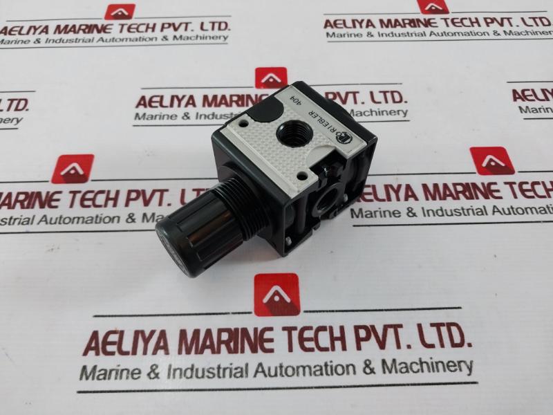 Riegler 404 Pressure Regulator, 0.5-10 Bar, 7-145 Psi