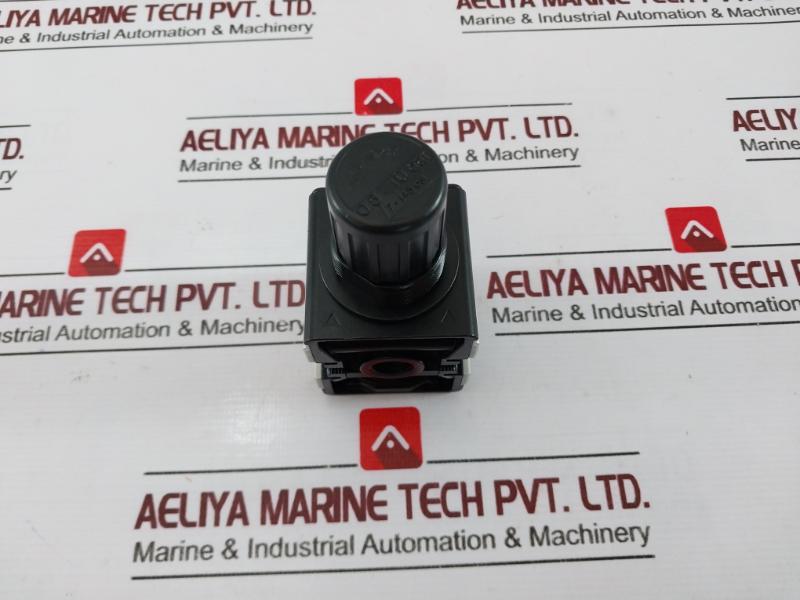 Riegler 404 Pressure Regulator, 0.5-10 Bar, 7-145 Psi