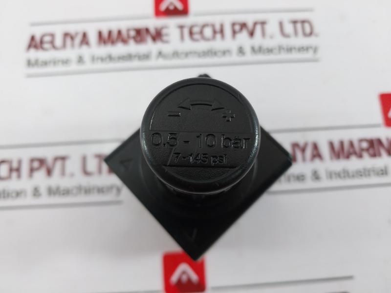 Riegler 404 Pressure Regulator, 0.5-10 Bar, 7-145 Psi