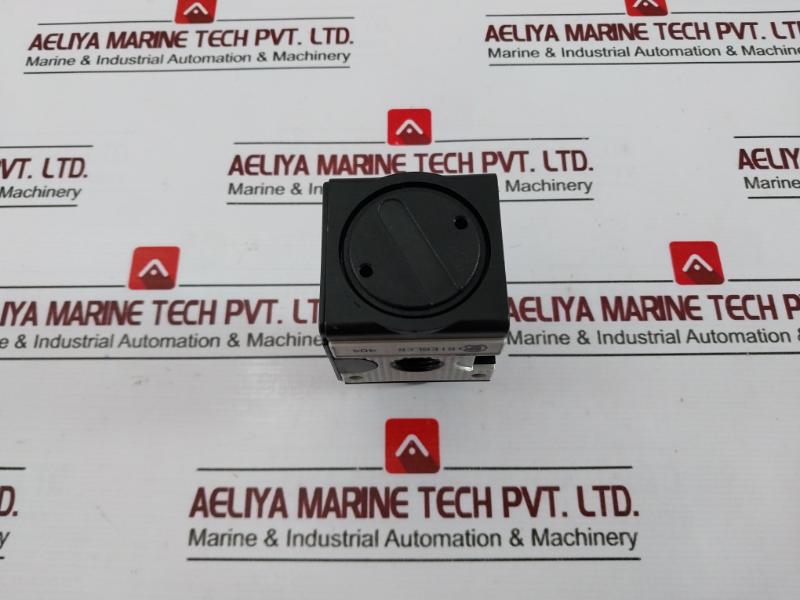 Riegler 404 Pressure Regulator, 0.5-10 Bar, 7-145 Psi