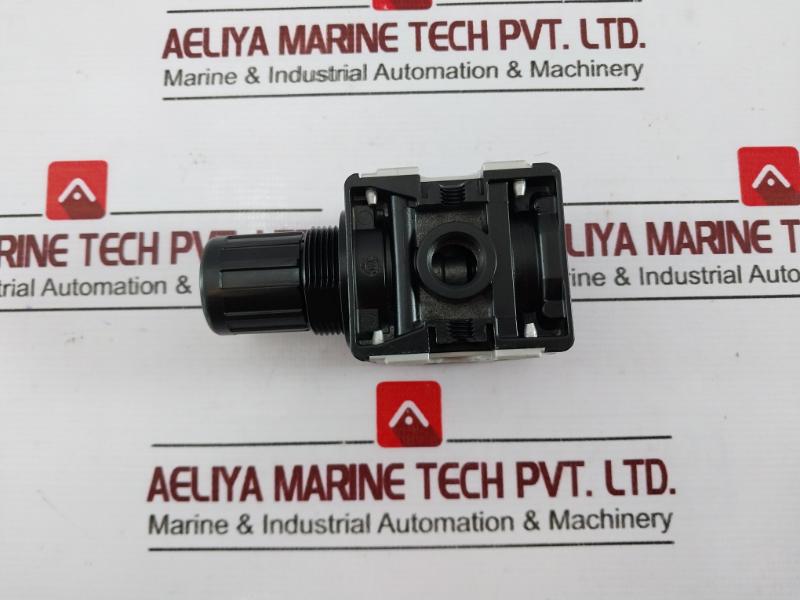 Riegler 404 Pressure Regulator, 0.5-10 Bar, 7-145 Psi