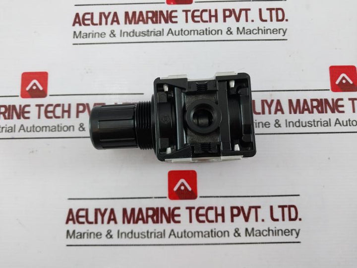 Riegler 404 Pressure Regulator, 0.5-10 Bar, 7-145 Psi
