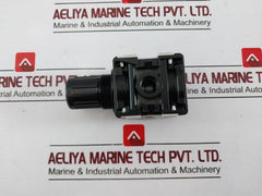 Riegler 404 Pressure Regulator, 0.5-10 Bar, 7-145 Psi