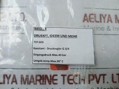 Riegler 737.603 Constant Pressure Regulator G 3/4 Max.40 Bar Nas820-20A 90 C