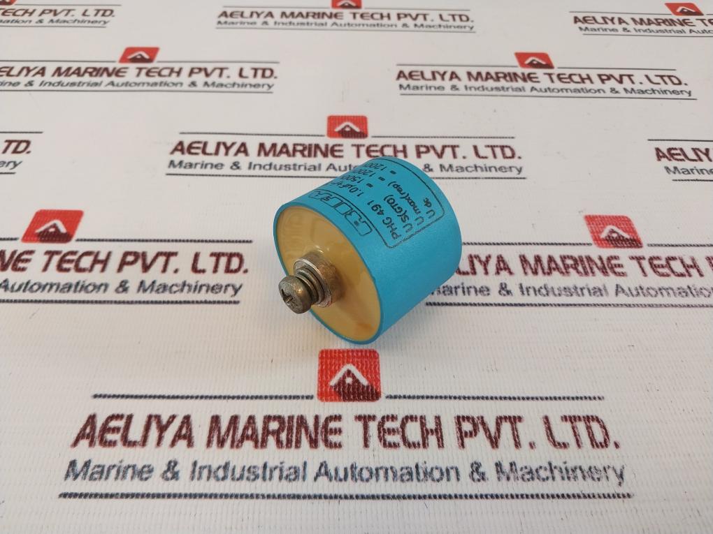 Rifa Capacitor Phg 491