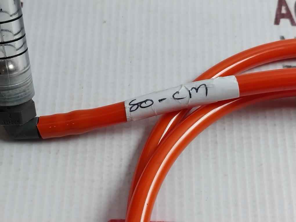 Riken Keiki 0.2-1.0 L/Min Gas Pressure Regulator Va-10/09459 0-15 Bar 80 Cm