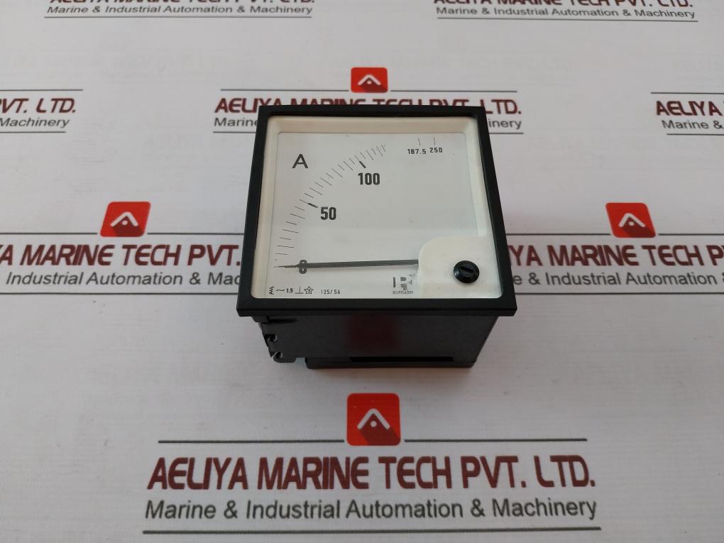 Rishabh Eq96 Ac Ammeter 0-100/250A 125/5A 850V E236986