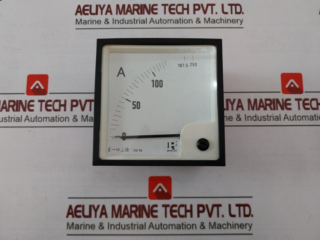 Rishabh Eq96 Ac Ammeter 0-100/250A 125/5A 850V E236986