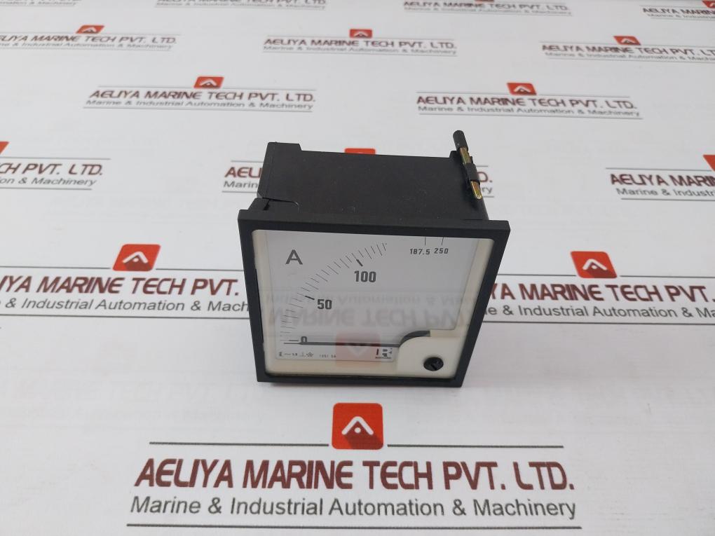 Rishabh Eq96 Ac Ammeter 0-100/250 A 125/5A Eq96 12094