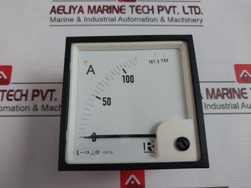 Rishabh Eq 96 Ammeter 850V E236986 0-125/250 A