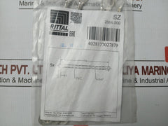 Rittal Earthing Strap 2564.000