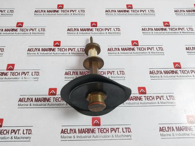 Rk 009 Vt Watts 887021 Relief Valve Kit