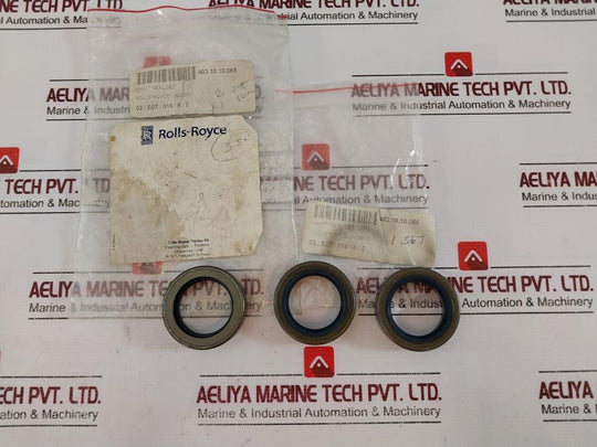Rolls-Royce N32093 Shaft Seal Set FU02/FUO2