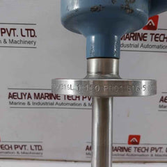 Rosemount 2120 Vibrating Fork Level Switch 2120D1Gk1E1Xm0200Q4 8V Dc V2.10