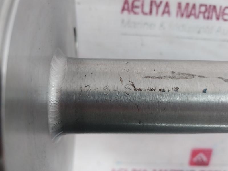 Rosemount 2120 Vibrating Fork Level Switch, Jbe1126100