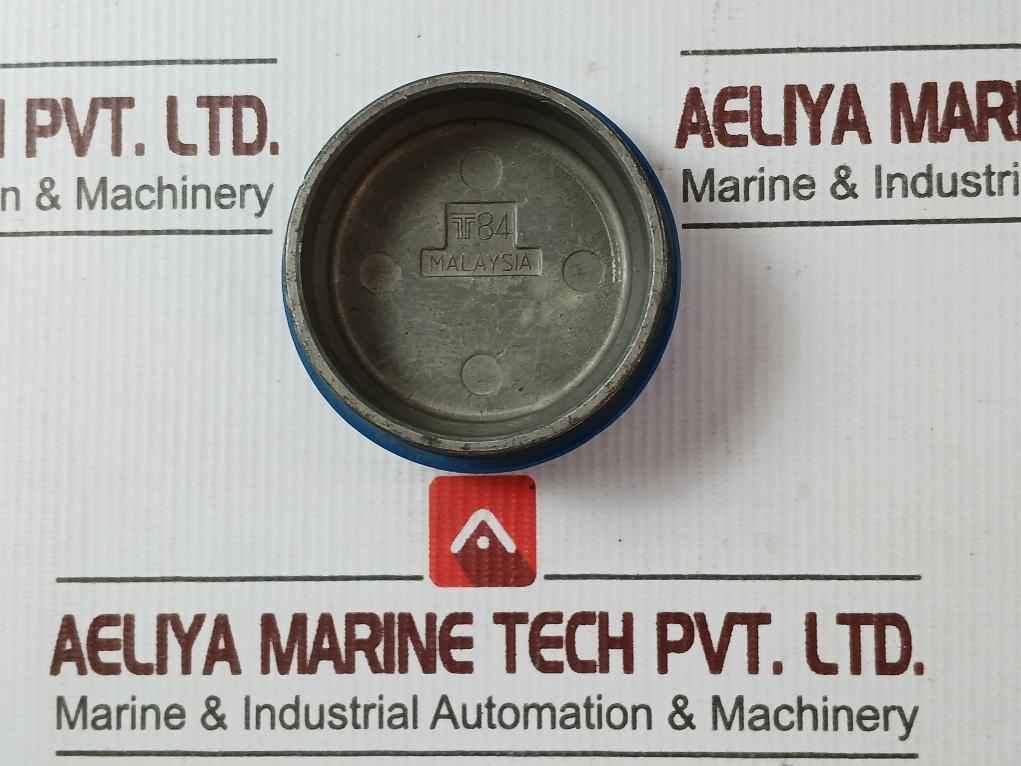 Rosemount 3051 Tg1A2B21Ak5M504S1 Pressure Transmitter 30 Psi/2.1 Bar 4-20 Ma