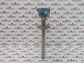 Rosemount Cx1100 Oxygen Transmitter 120/240 Vac 50/60 Hz Ip66