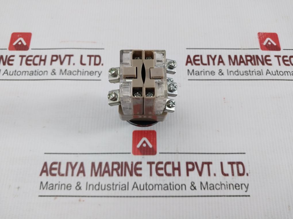 Rotary-Selector-Switch-Shan-Ho-6A-250Vac-208797-4