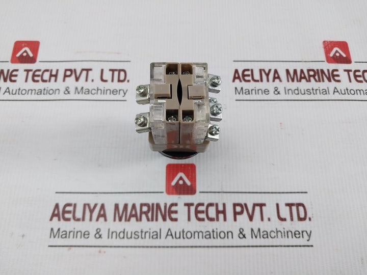 Rotary-Selector-Switch-Shan-Ho-6A-250Vac-208797-4