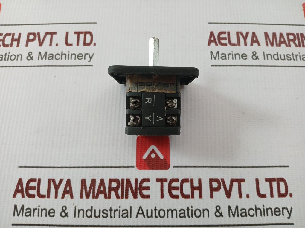 Rotary Cam Switch 6A-vss-b13 Salzer 440V 6A