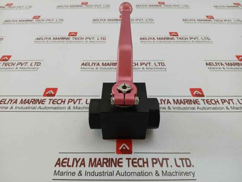 Rotelmann 2-way Ball Valve Dn 20 3/4 Bsp