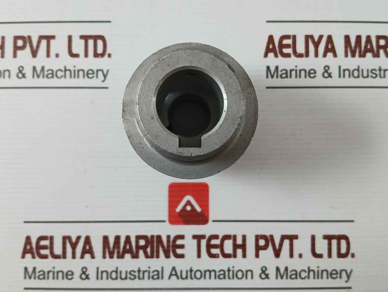 Rotex 24 Flexible Jaw Coupling