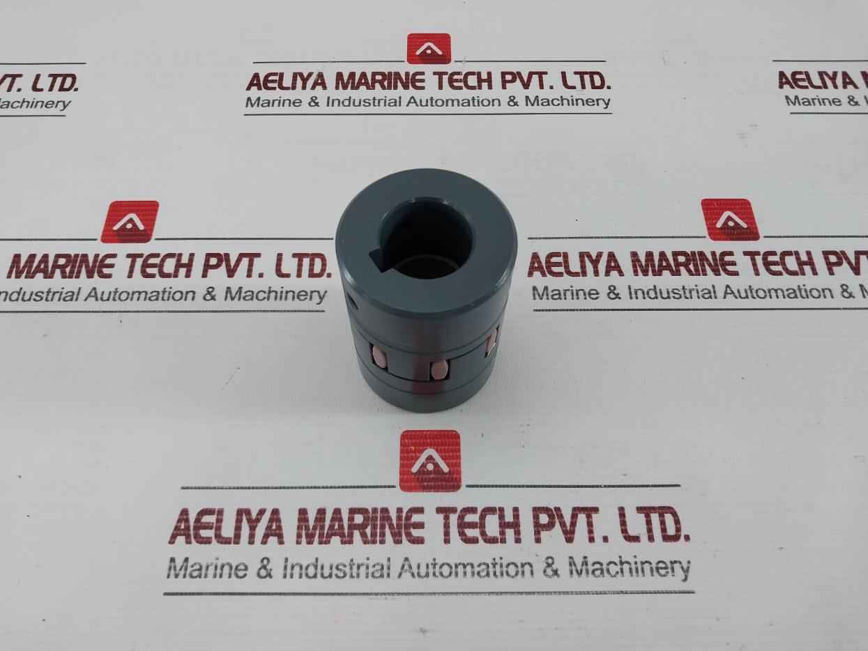 Rotex Flexible Coupling Assembly Set 24