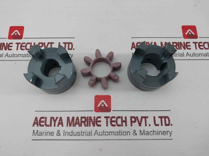 Rotex Flexible Coupling Assembly Set 24