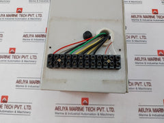 Roto Pumps PT-100 (RTD)