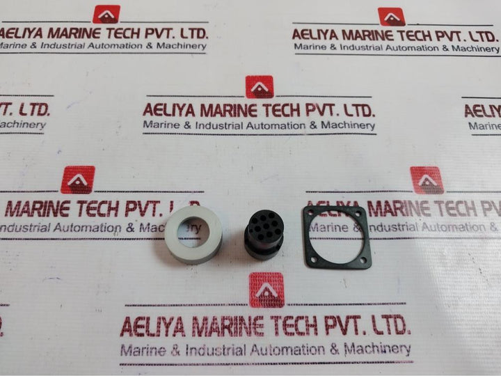 Rs M1731-s09 Triad Servomex Plug