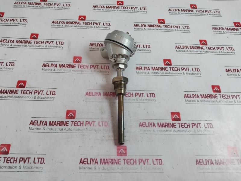 Rtd-pt100 Resistance Bulb 600C 3/4Pf 99-mm 104.11