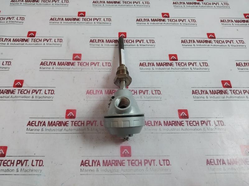 Rtd-pt100 Resistance Bulb 600C 3/4Pf 99-mm 104.11