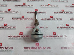 Rtd-pt100 Resistance Bulb 600C 3/4Pf 99-mm 104.11