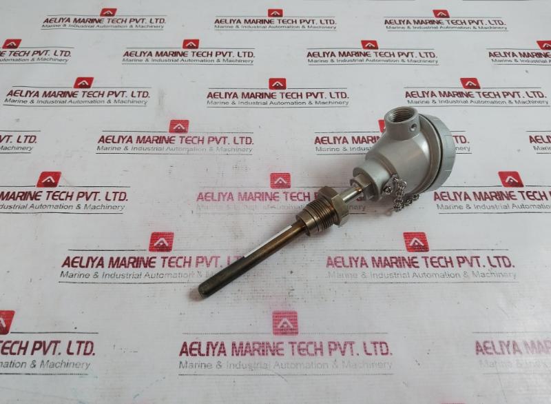Rtd-pt100 Resistance Bulb 600C 3/4Pf 99-mm 104.11