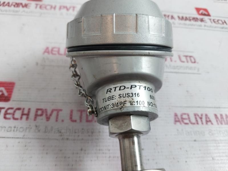 Rtd-pt100 Resistance Bulb 600C 3/4Pf 99-mm 104.11