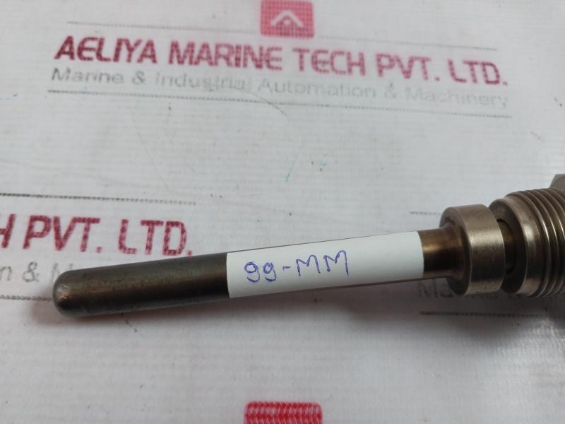 Rtd-pt100 Resistance Bulb 600C 3/4Pf 99-mm 104.11
