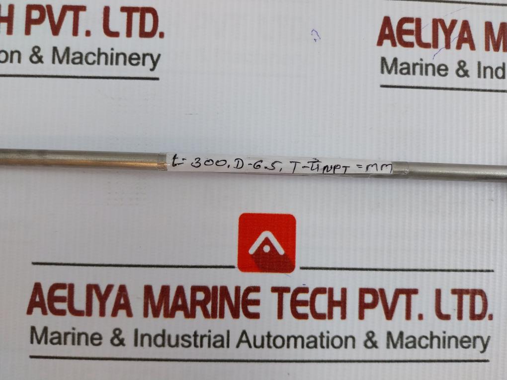 Rtd Temperature Sensor L-300 C8B.641.75.01.613