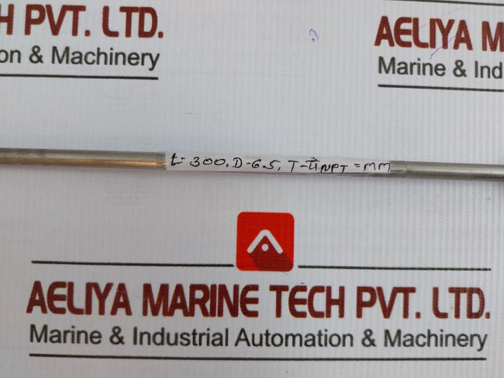 Rtd Temperature Sensor L-300 C8B.641.75.01.613