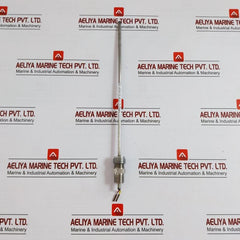 Rtd Temperature Sensor L-300 C8B.641.75.01.613