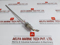 Rtd Temperature Sensor L-300 C8B.641.75.01.613