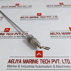 Rtd Temperature Sensor L-300 C8B.641.75.01.613