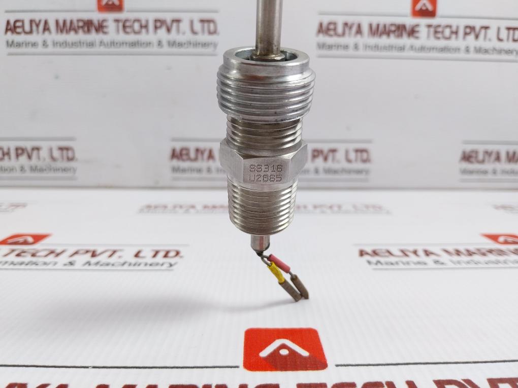 Rtd Temperature Sensor L-300 C8B.641.75.01.613