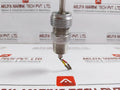 Rtd Temperature Sensor L-300 C8B.641.75.01.613