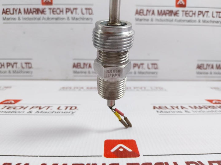 Rtd Temperature Sensor L-300 C8B.641.75.01.613