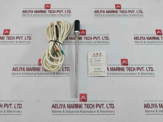Rtd Temperature Sensor Probe With Cable 5 Meter Wzpt-14 Pt100 Styb
