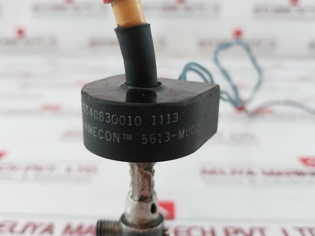 Rti/Amecon 5613-m001 High-voltage Ignition Coil/Electrode Assembly 6540830010