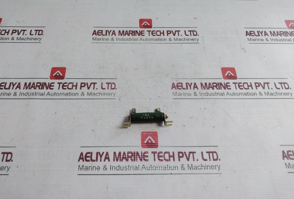 Rwh10G 1ΩJ Compact Resistor F4073