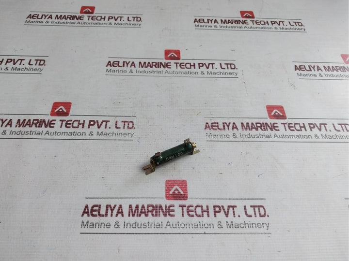 Rwh10G 1ΩJ Compact Resistor F4073