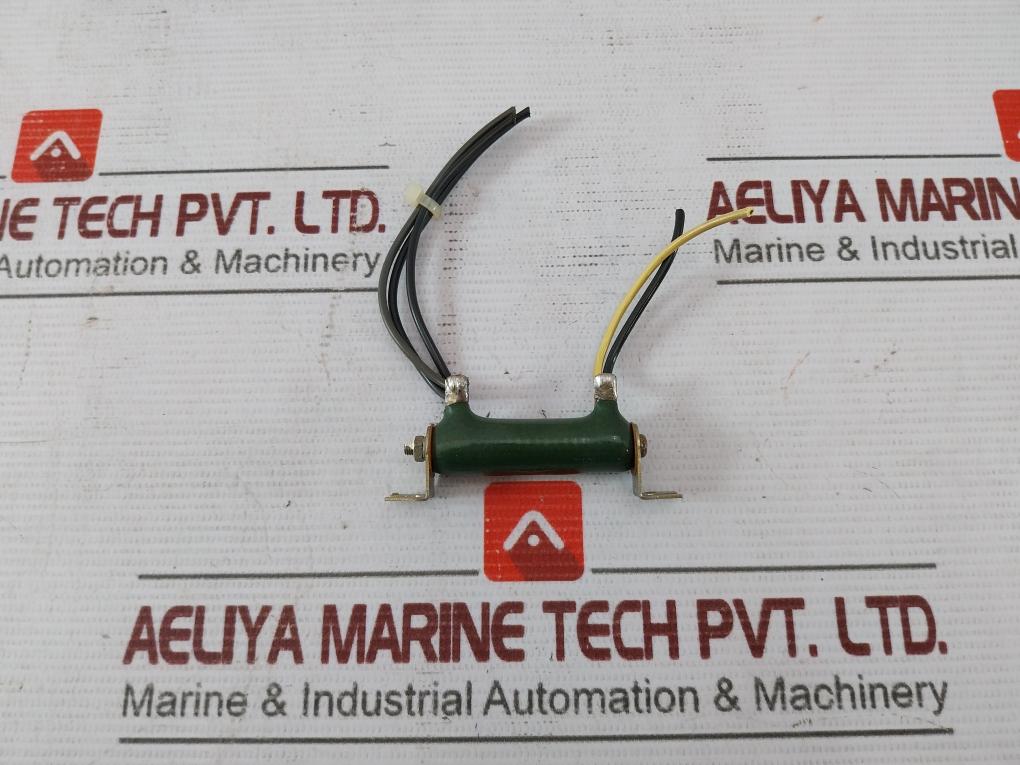 Rwh10G 1 Ω Power Resistor F4023