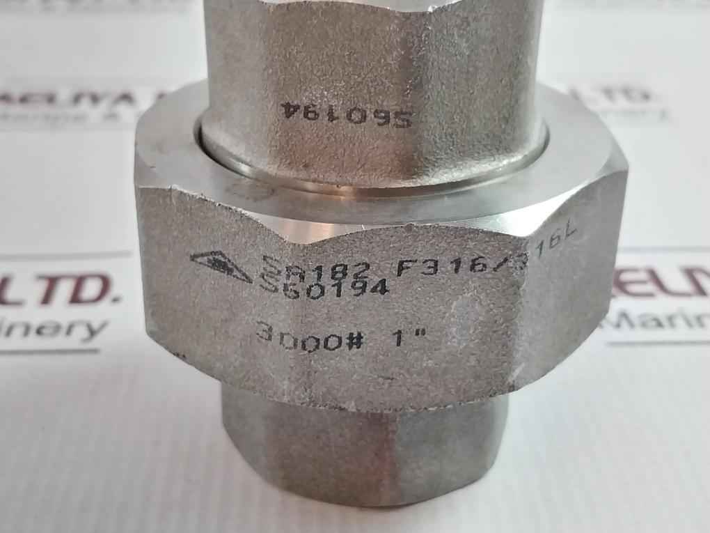 Sa182 3000# 1” Threaded Steel Pipe Fittings F316/316L S60194